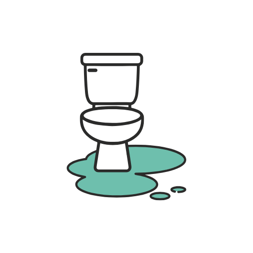 How to Unblock a Toilet Fast